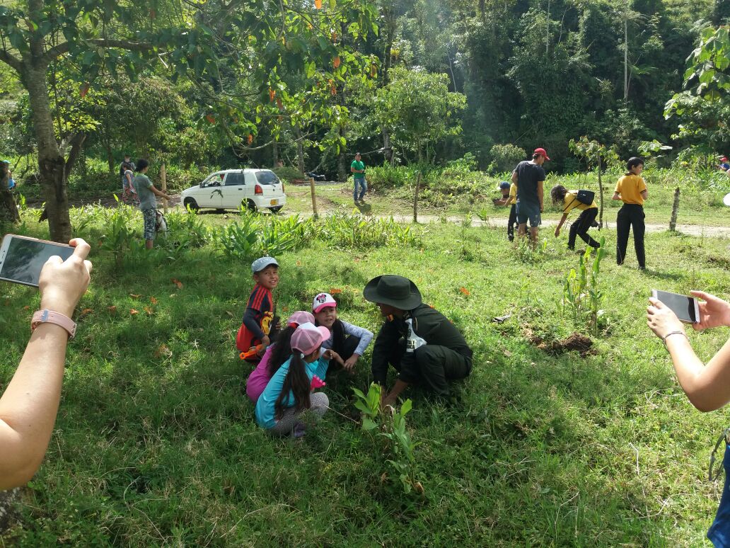 6 mil árboles han sido sembrados en las riberas de los rios en Risaralda