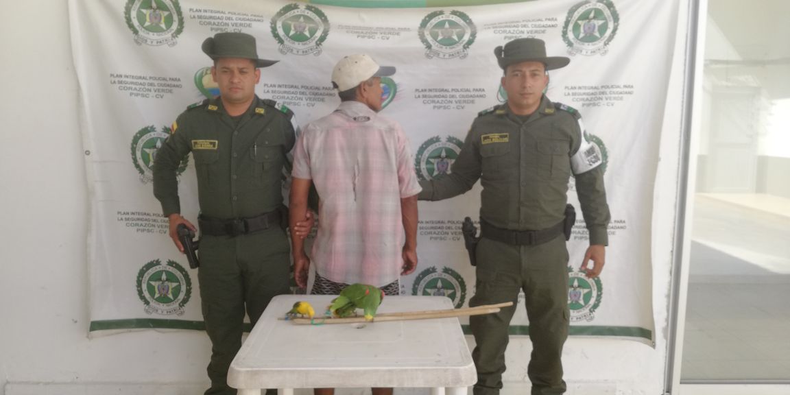   capturado-por-trafico-ilegal-de-especies-silvestres