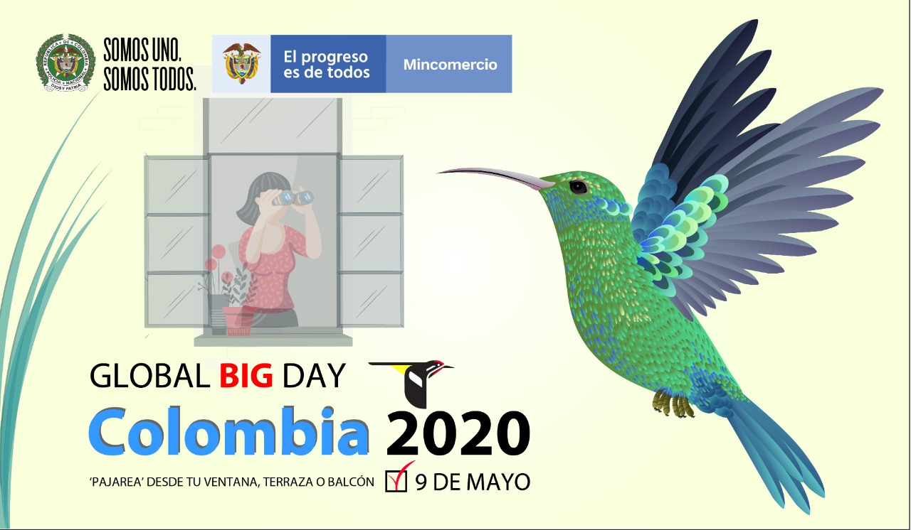 Global Big Day Colombia 2020