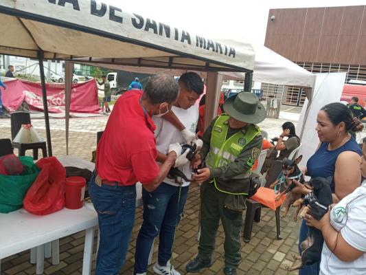 Jornada de vacunación en animales