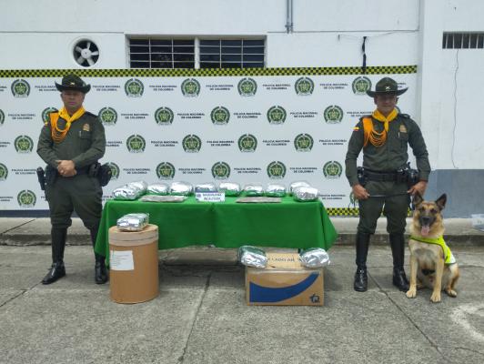 El canino Rocky incautó una gran cantidad de marihuana en Tuluá