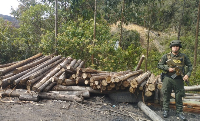 incautación de madera en cacota