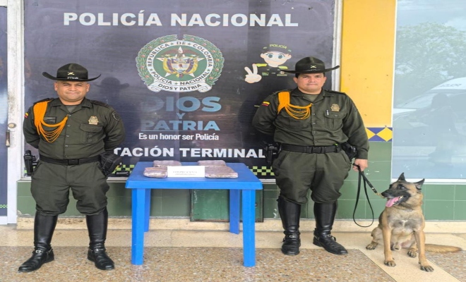 Incautación estupefacientes en empresa de mensajería 