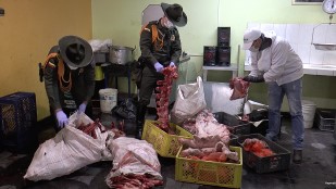  Policía ubicó negocio clandestino de expendió de carnes