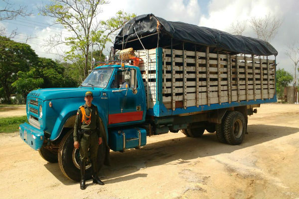 Semovientes-y-camión-incautados. 