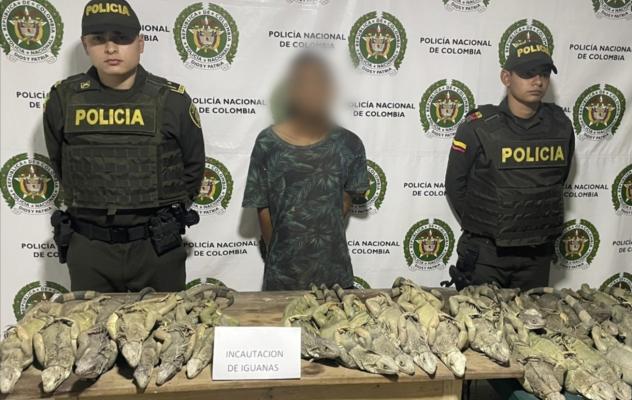 La Policía evitó que 30 iguanas cayeran en manos de inescrupulosos