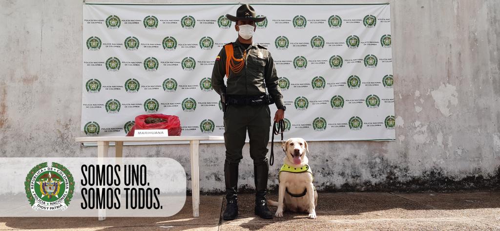 Incautación de 4.5 kilos  de Marihuana