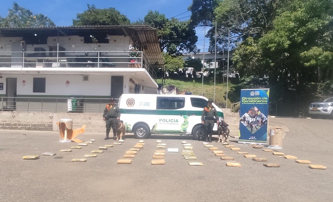 Incautados 50 kilos de marihuana enviados en una encomienda