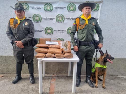 Con el plan “Entornos protectores”, la policía en Ibagué, hace frente al microtráfico.