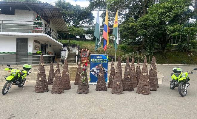 incautación de flora utilizada para adornos navideños