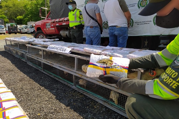 1.547 paquetes de marihuana incautados encaletado en jaulas de pollos 