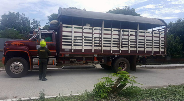 Sin descanso continuamos combatiendo el abigeato-policia-meta
