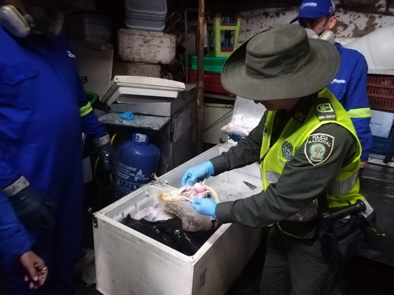Controles con ocasión de la Semana Mayor permitieron incautar más de una tonelada de pescado