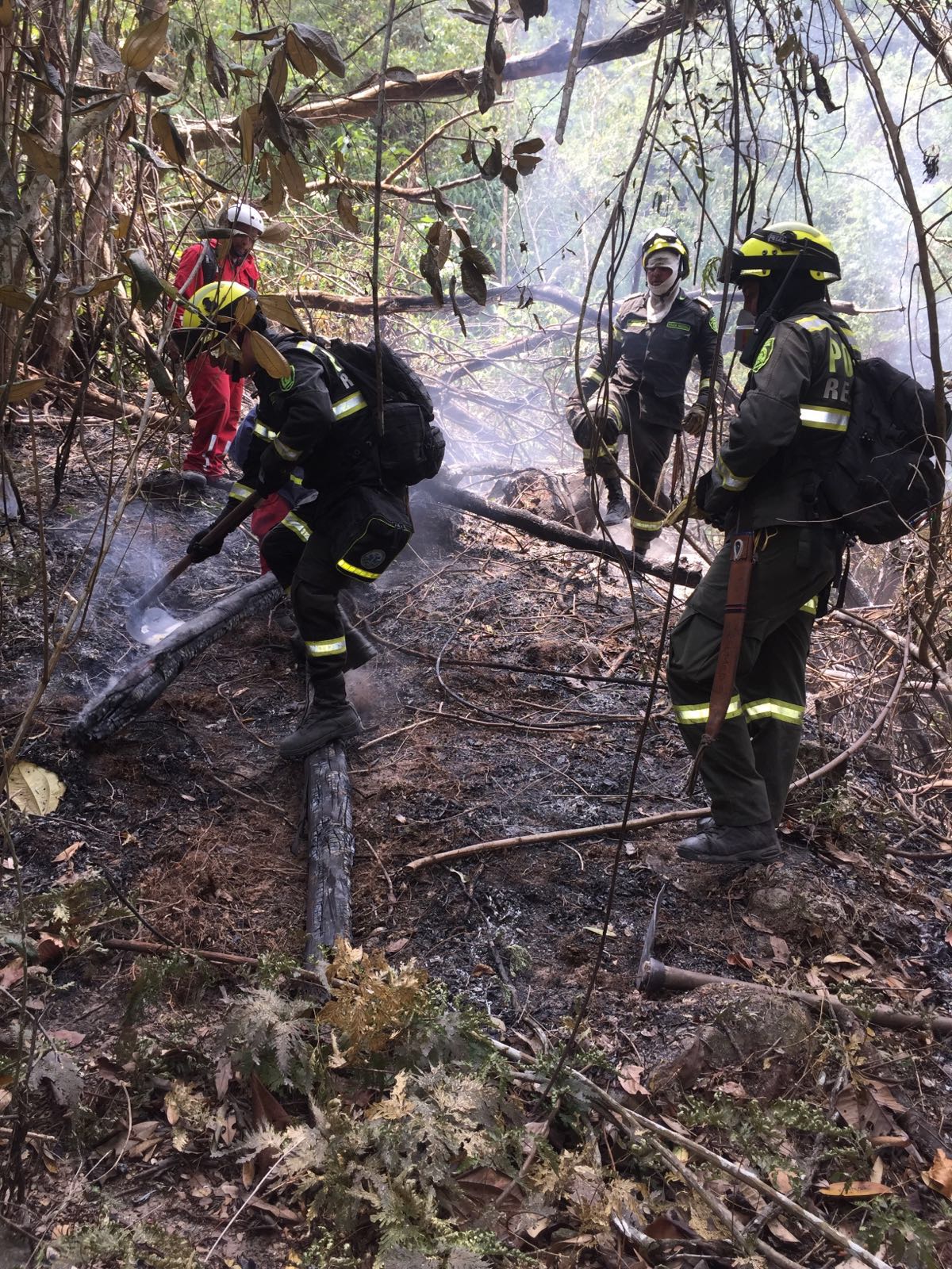 La Policía Nacional en Santander lidera campaña contra incendios forestales