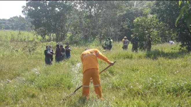 En Puerto Asís 800 árboles fueron plantados sobre la vía al muelle de la Esmeralda