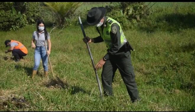 En Puerto Asís 800 árboles fueron plantados sobre la vía al muelle de la Esmeralda