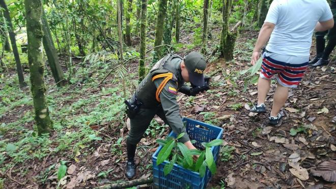 La siembra de árboles busca mejorar la calidad del ambiente y contribuir a la protección de nuestro planeta