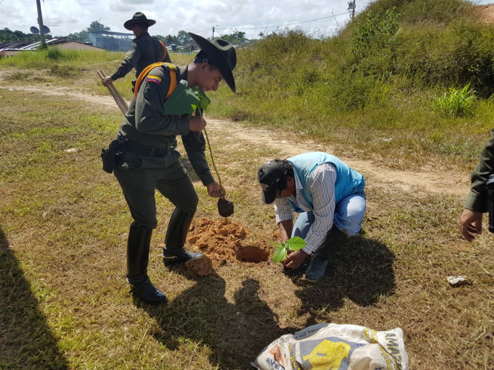 siembra de árboles frutales