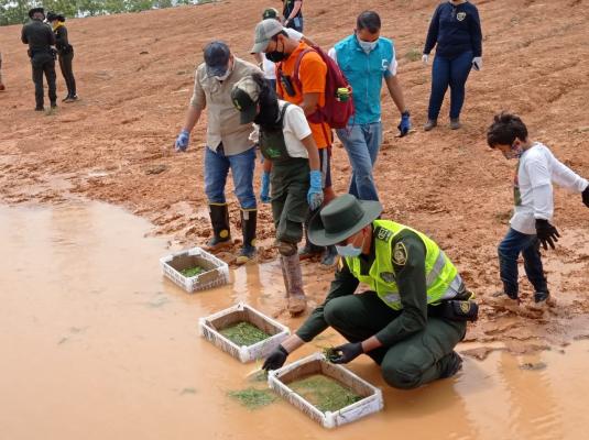 Comprometidos con el medio ambiente en el Meta