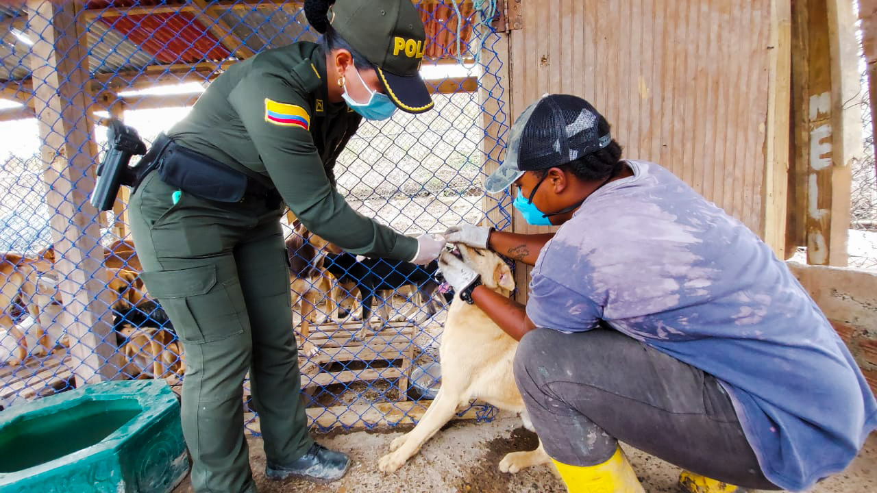 Somos Uno, Somos Todos en pro del bienestar de nuestros animales 