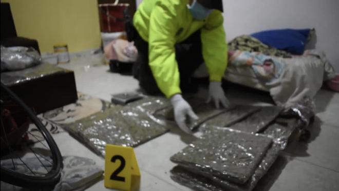 policía verificando alucinógenos 