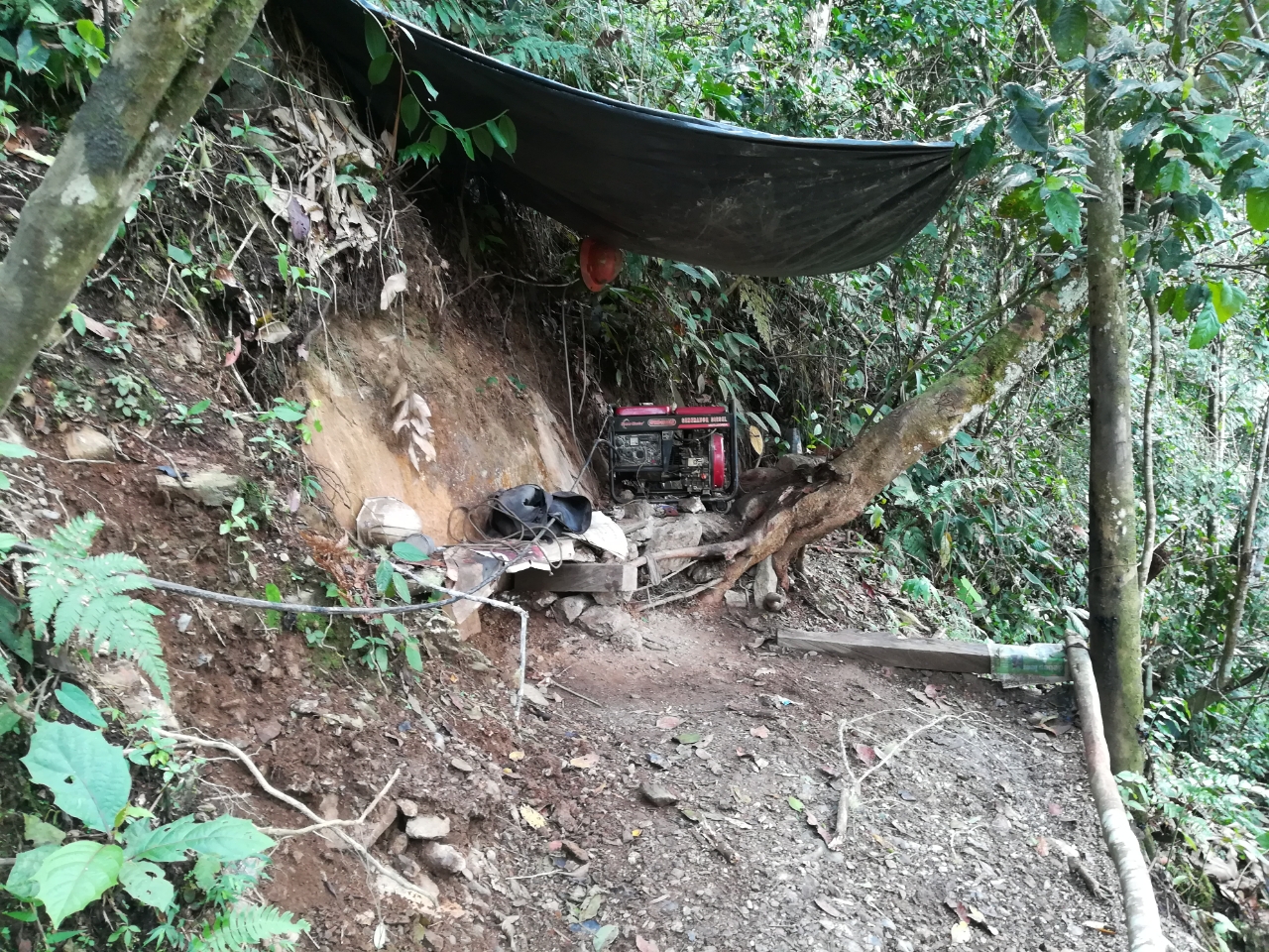 Cayeron “los cuarzos”