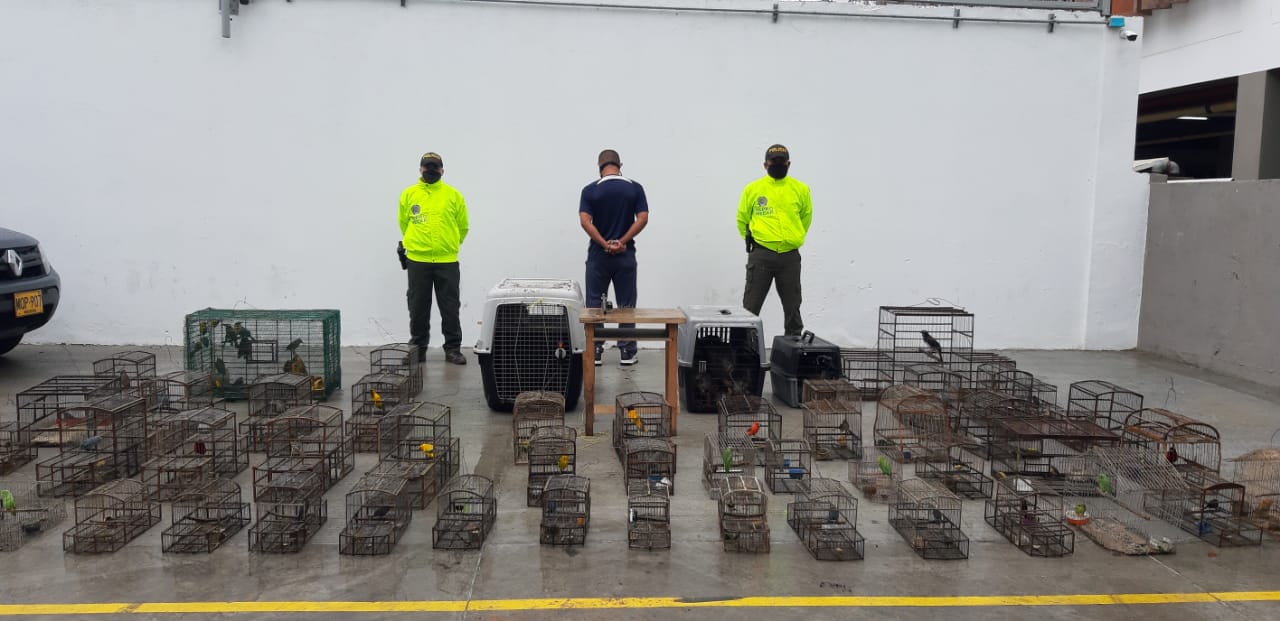 Lucha contra la tenencia ilegal de fauna silvestre1