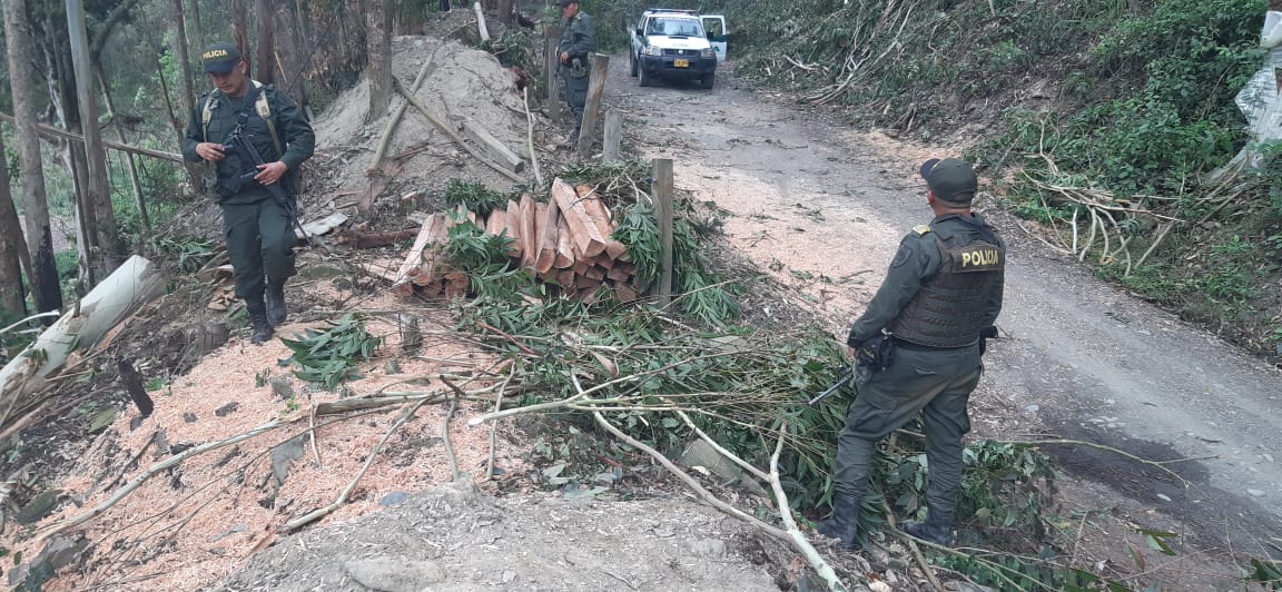 De esta manera protegemos la diversidad e integridad del ambiente