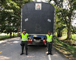 En los procedimientos se incautaron 197 m3 de madera