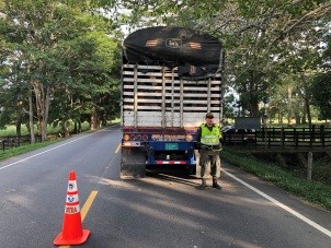En los procedimientos se incautaron 197 m3 de madera
