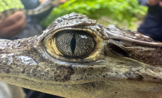 La Policía Nacional en Bolívar insta a la comunidad a proteger el patrimonio natural 