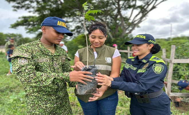 actividad de sembratón en el sector de Punta de Piedra