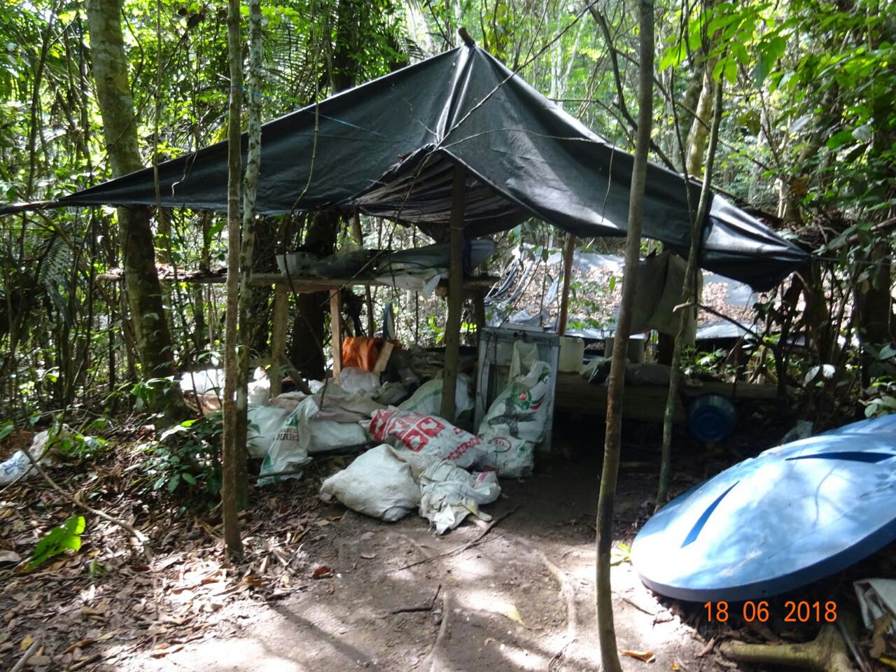 Destruidos-varios-complejos-para-la-producción-del-alcaloide   