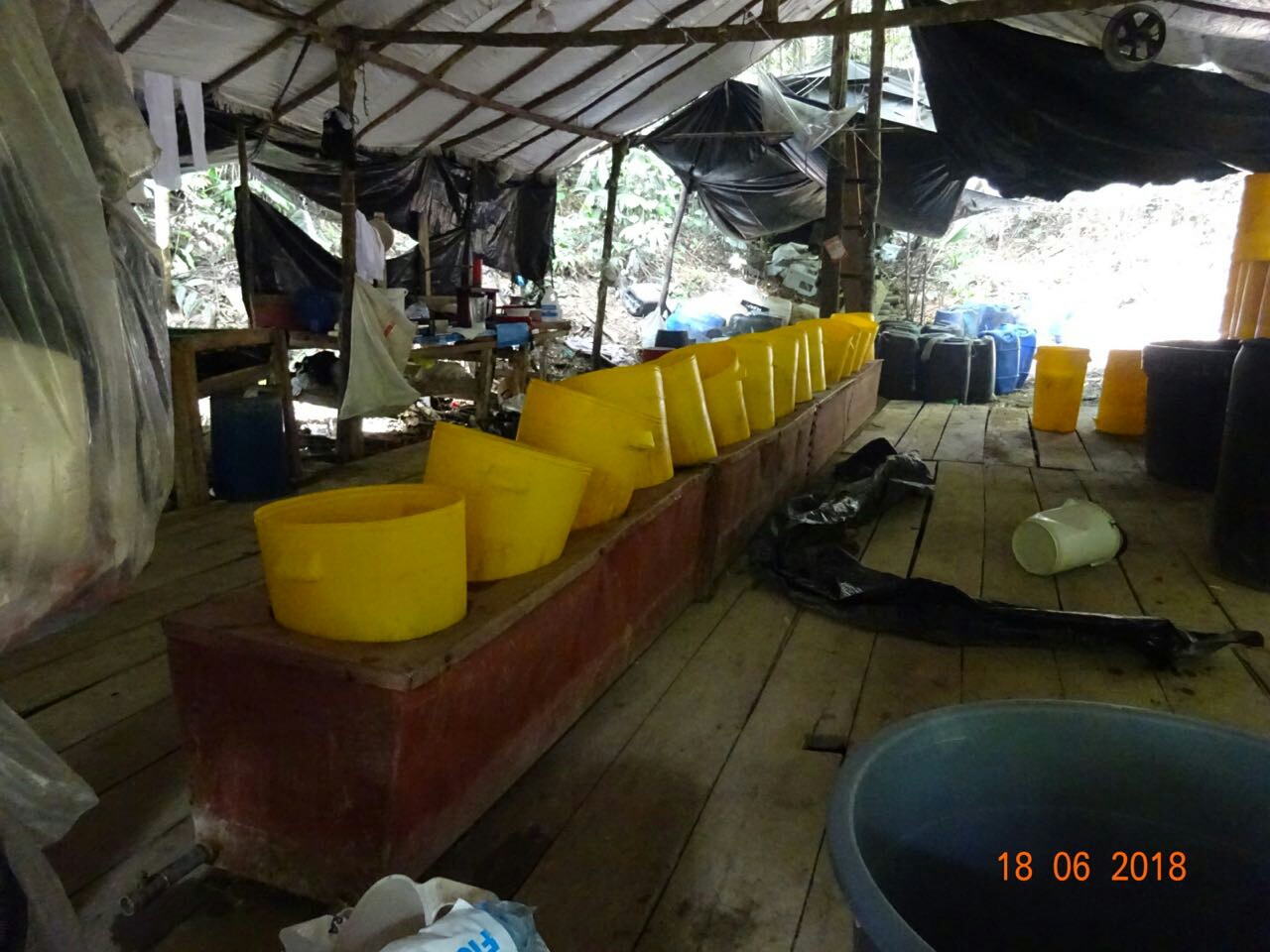 Destruidos-varios-complejos-para-la-producción-del-alcaloide   