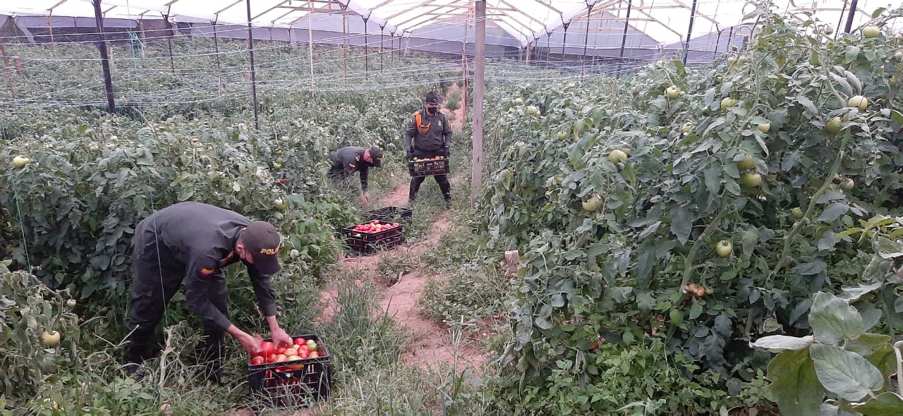 Mercados_Campesinos_Betulia_4