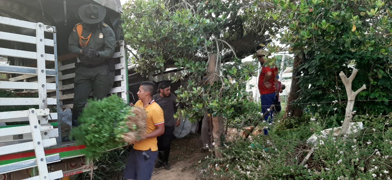 Mercados_Campesinos_Betulia_5