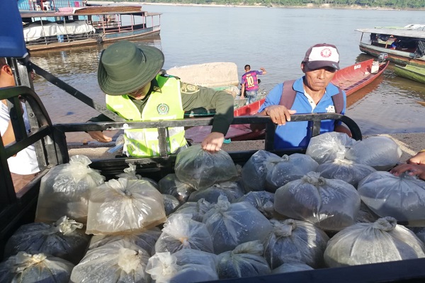 Incautación de peces