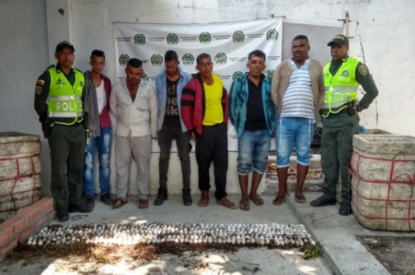 Ofensiva-contra-el-comercio-de-especies-silvestres-en-el-Cesar