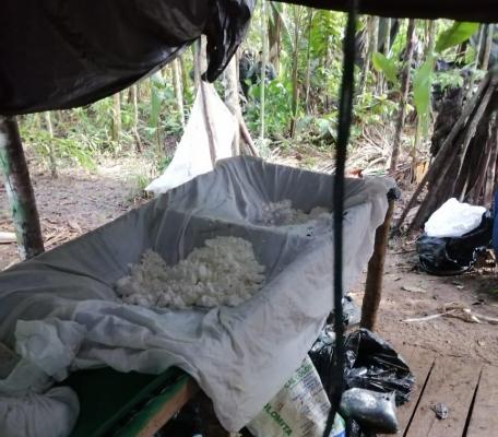 Insumos para la elaboración de sustancias alucinógenas