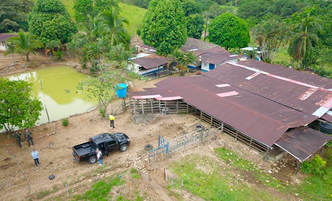 Ofensiva contra el narcotráfico deja 14 capturados en el departamento del Valle del Cauca, Antioquia, Cauca y Nariño.