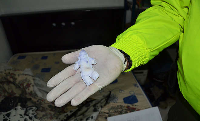 Operacion San miguel3