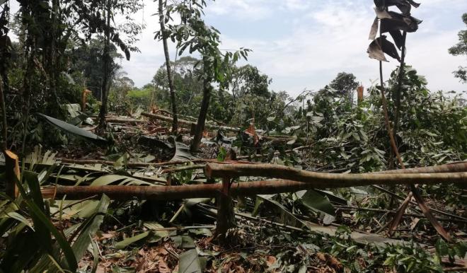 Seguimos desplegando acciones por la protección de la naturaleza