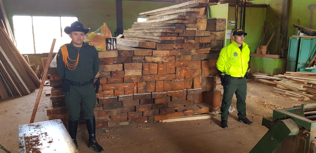 Ofensiva nacional contra la deforestación y el aprovechamiento forestal