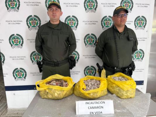 La Policía Nacional en Buenaventura reporta un éxito en su esfuerzo por hacer cumplir los decretos de veda de pesca de camarón.