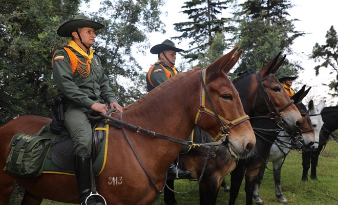 Policias formando con los equinos