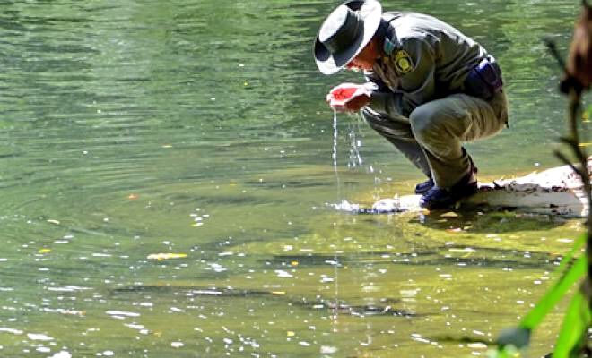 policia-ambiental-en-una-fuente-hidrica