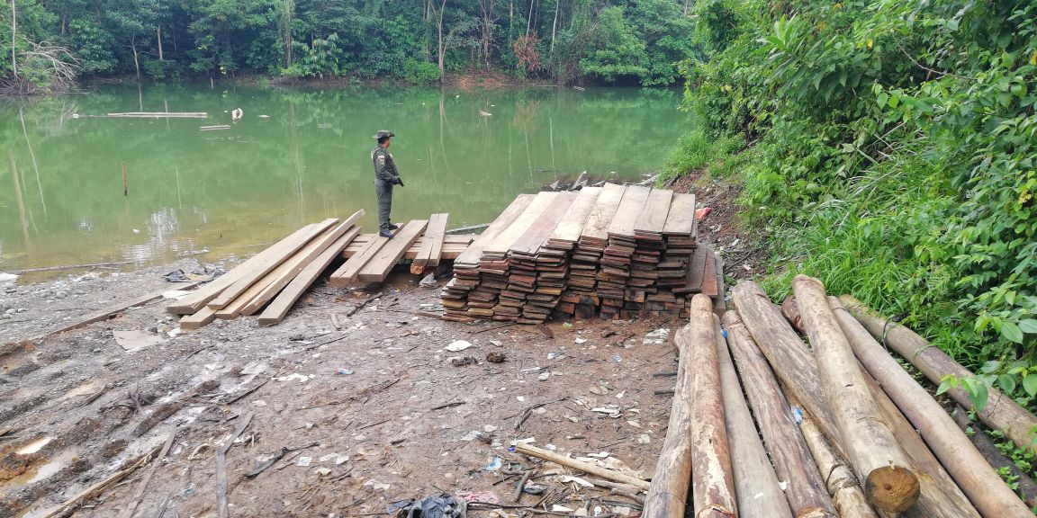 Capturamos a ocho personas por tráfico ilegal de madera en Córdoba