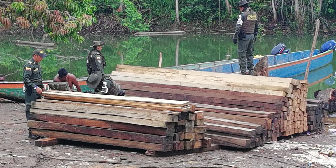 Capturamos a ocho personas por tráfico ilegal de madera en Córdoba