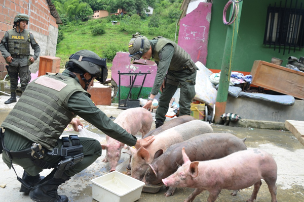 Policía ayudando a los animales