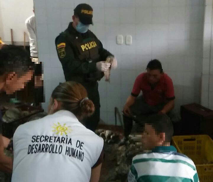 En Ocaña incautadas más de dos toneladas y media de pescado en avanzado estado de descomposición